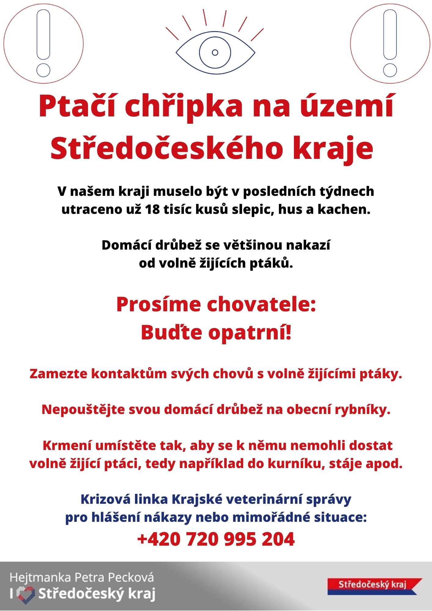 Pta_____ch__ipka_st__le_hroz____2_.jpg