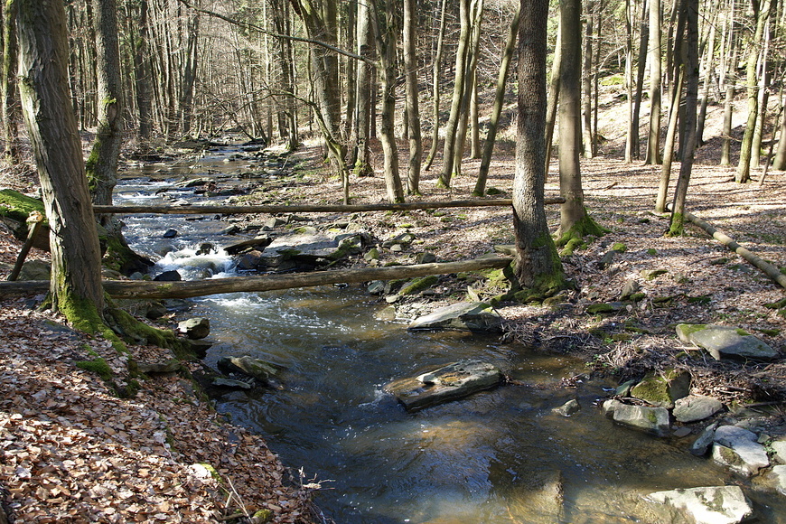 Sion - Chlístovice (1)