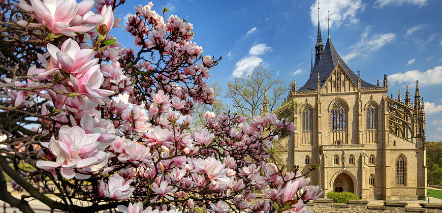 Chram sv. Barbory_jaro.jpg