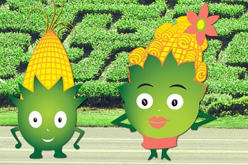 box_kukuricne bludiste.png