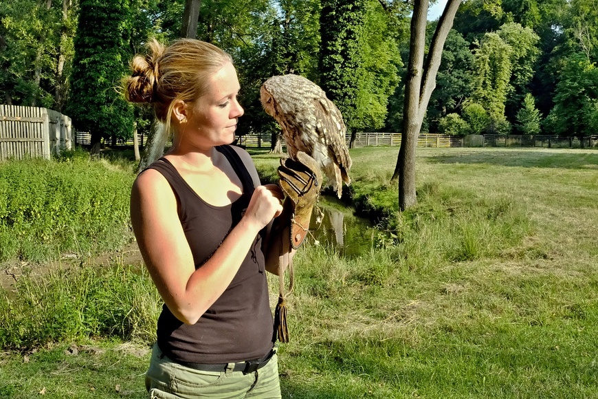 Obora Žleby_web (2).JPG